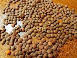 تصویر 1 از کنسرو عدسی 400 گرمی + قیمت فروش عمده و اقتصادی